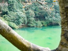 -黔灵山公园