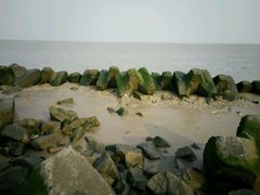 -南汇嘴观海公园