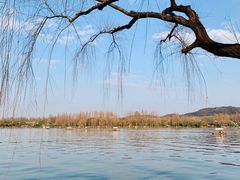 -浙江西子宾馆·瑶园咖啡厅