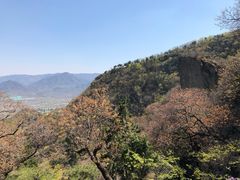 -北京鹫峰国家森林公园