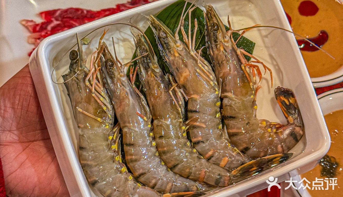在金桥，吃到了地道的老北京铜锅涮肉