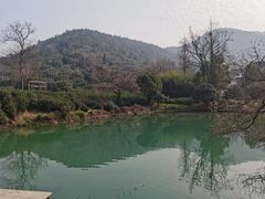 -树山生态村