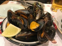 -Tapa Tapa