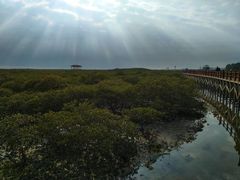 -北海金海湾红树林生态旅游区