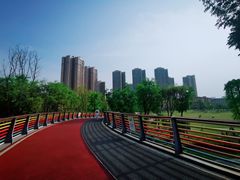 -府河摄影公园