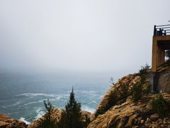 -广东惠东海龟国家级自然保护区