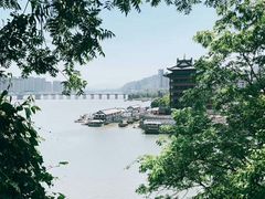 -桐君山春江扬帆码头