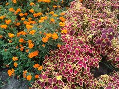 -长春公园(普阳街道)