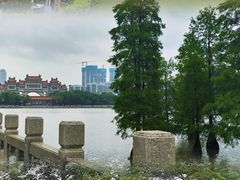 -顺峰山公园