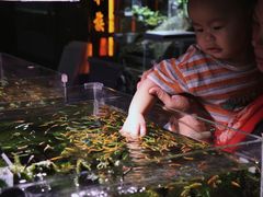 -苏州艺都古玩花鸟市场