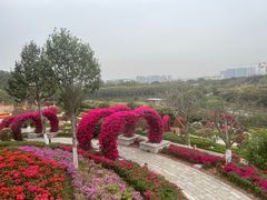 -东莞植物园