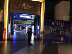 -新影联·华谊兄弟影院(望京店)