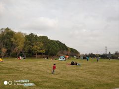 -昆山城市生态森林公园