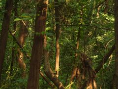 -杭州半山国家森林公园