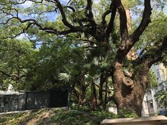 -九龙公园