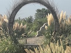 -嘉北郊野公园