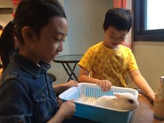 -藦茜花园宠物主题亲子互动体验馆(国顺东路店)