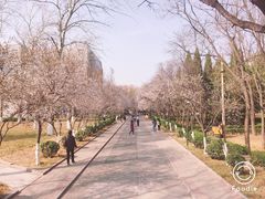 -山东师范大学(千佛山校区)