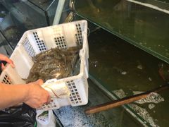 -塔湾北行农贸市场