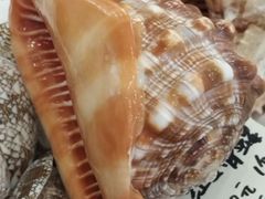 -万达广场(武汉菱角湖店)