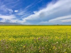 -青海湖国家重点风景名胜区