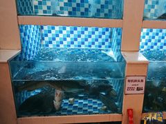 -野渡坡·极致湘菜·庭院餐厅(汉阳店)