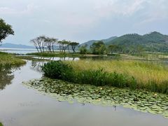 -东钱湖旅游度假区