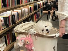 -茑屋书店(天目里店)