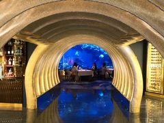 -迪拜帆船酒店海底餐厅