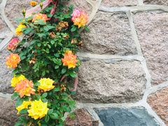 -青岛德国监狱旧址博物馆