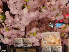 -小吊梨汤·北京菜·烤鸭(西直门凯德店)