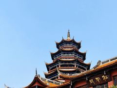 -铁山坪森林公园