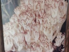 -太婆天府山珍酒楼(亚运村店)