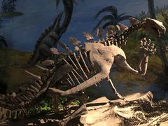 -自贡恐龙博物馆