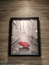 -香榭丽舍·生物护肤·问题肌护理中心