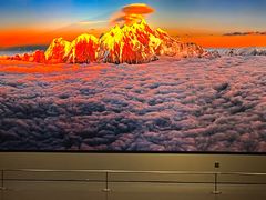 -罗红摄影艺术馆