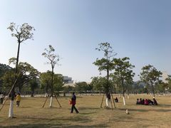 -汕头大学-图书馆