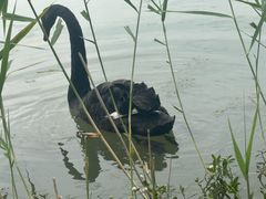 -昆山城市生态森林公园