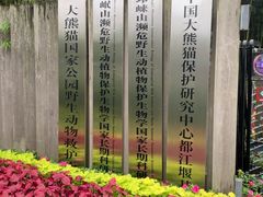 -都江堰中华大熊猫苑