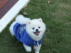 -爱侣宠医·鹦鹉专科·小型哺乳类·异宠专科(灵石路店)