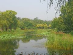-东郊湿地公园
