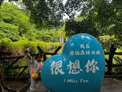 -西双版纳原始森林公园