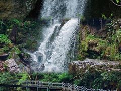 -龙苍沟森林公园