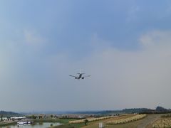 -空港花田景区