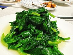 -新吉士·上海菜(浦东LCM置汇旭辉店)