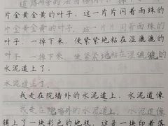 -赵汝飞练字硬笔书法(博泰国际校区)