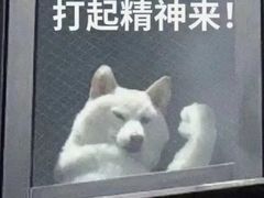 -杭州城中香格里拉大酒店