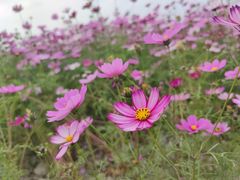 -费孝通江村纪念馆