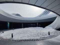-哈尔滨大剧院