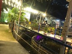-芭厘农庄老字号·清远鸡